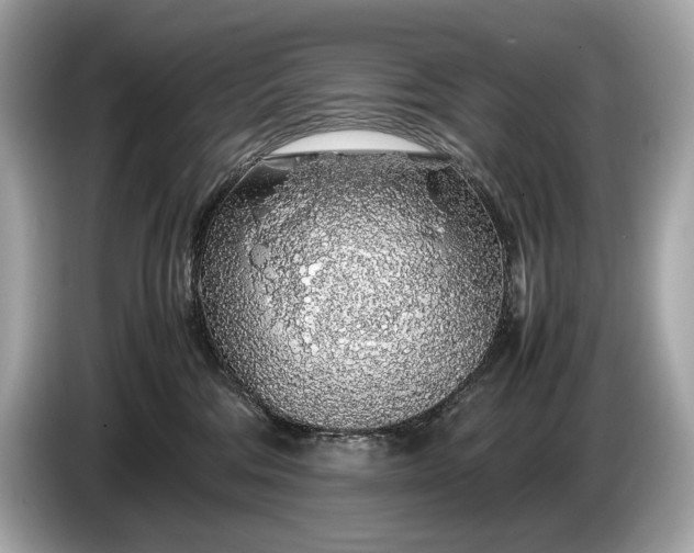 X0000085070330200703191307