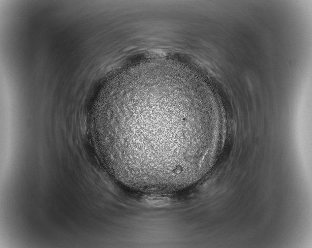 X0000085070331200703191307