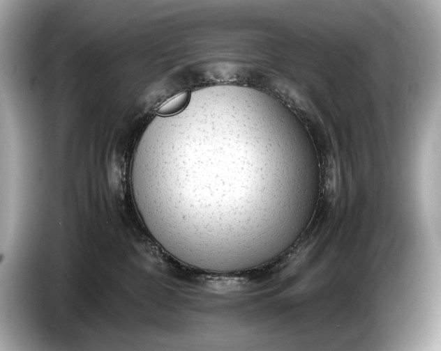 X0000085070332200703191307