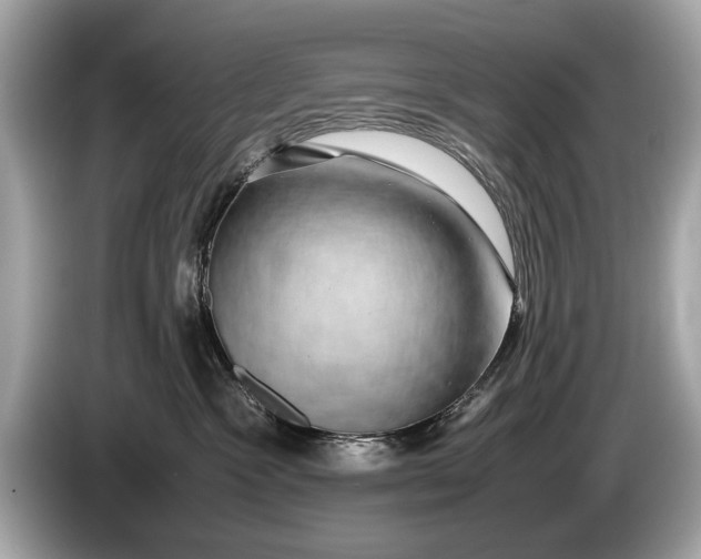 X0000085070333200703191307