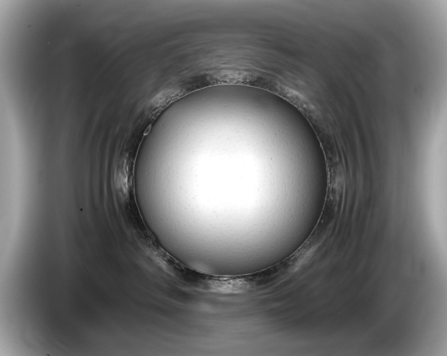 X0000085070334200703191307