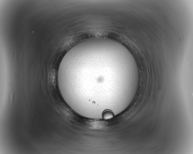 X0000085070336200703191307