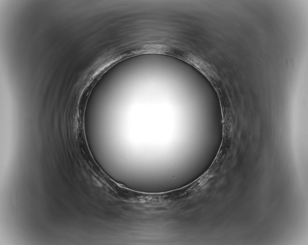 X0000085070338200703191306