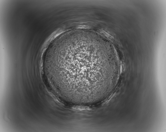 X0000085070339200703191306