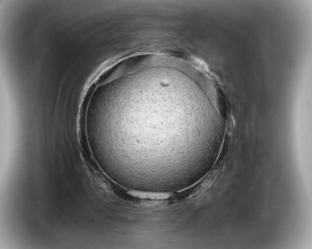 X0000085070340200703191306