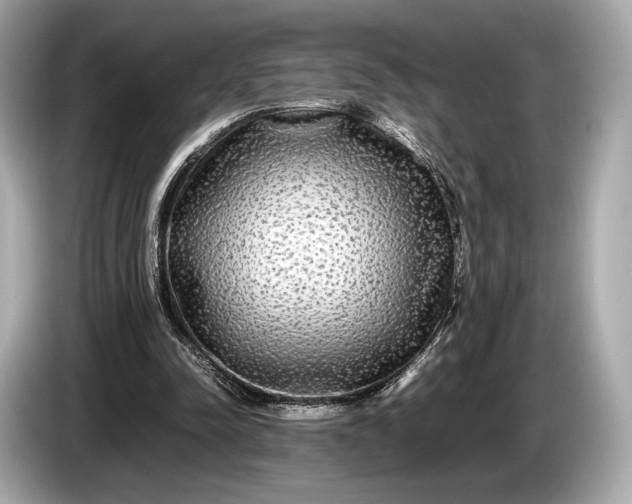 X0000085070342200703191306