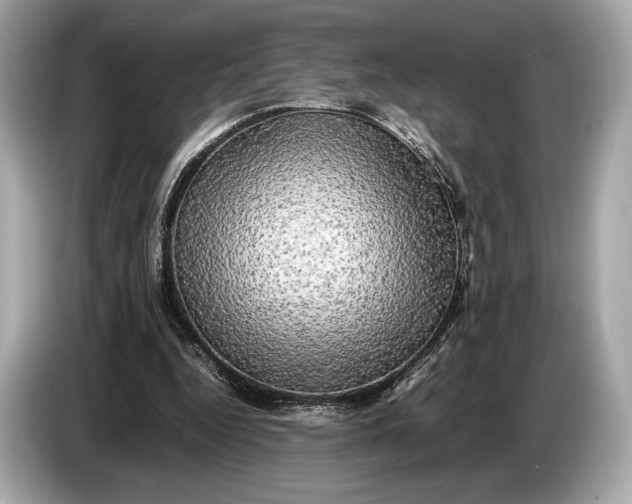 X0000085070344200703191306