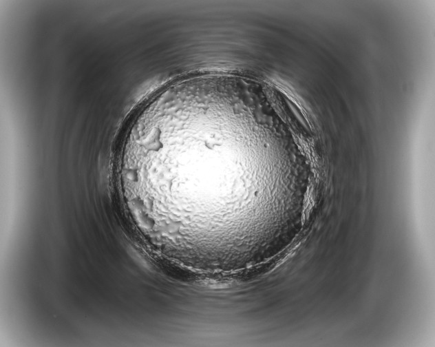 X0000085070346200703191306