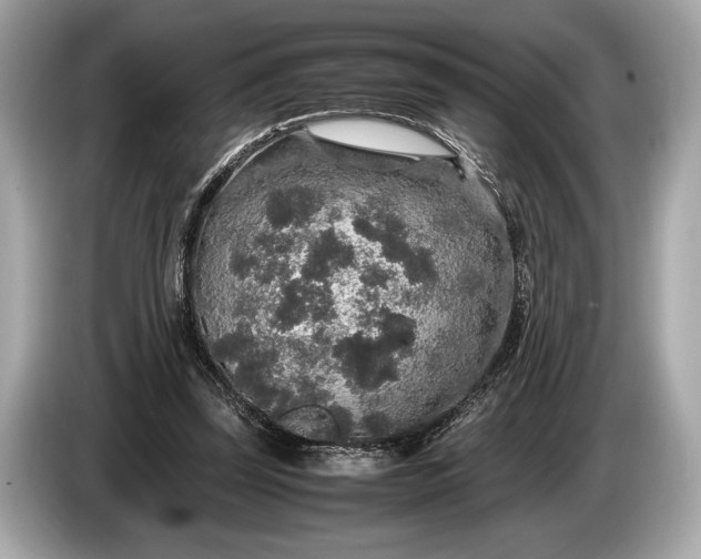 X0000085070347200703191306