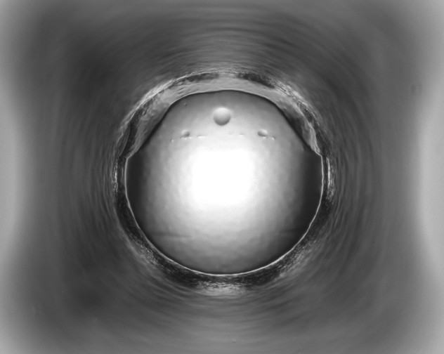 X0000085070348200703191306