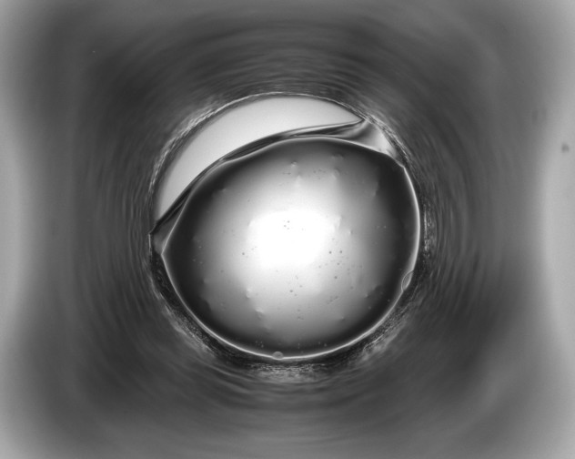 X0000085070349200703191306