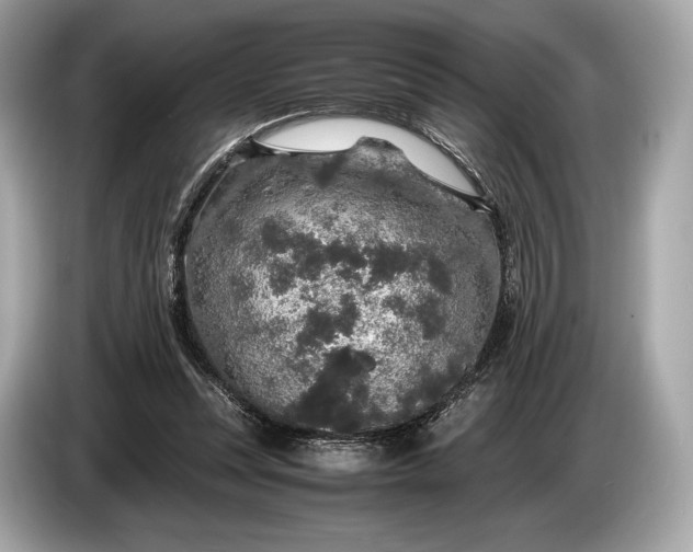 X0000085070351200703191306