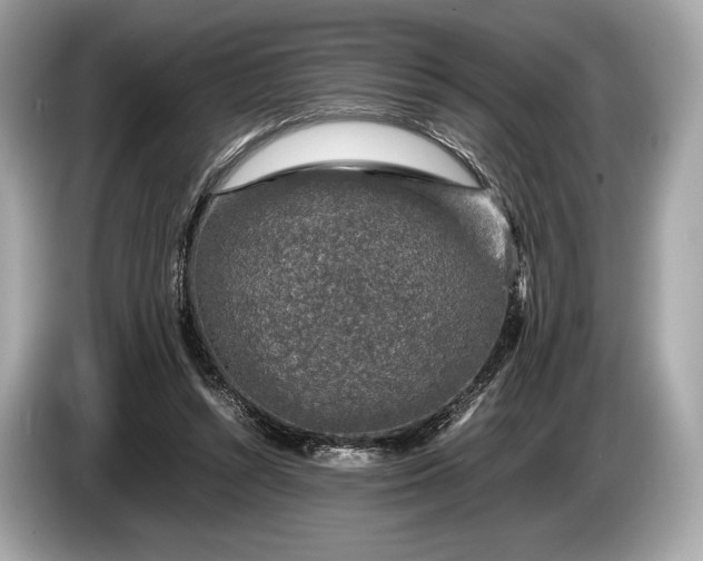 X0000085070352200703191306