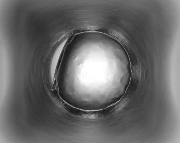 X0000085070358200703191306