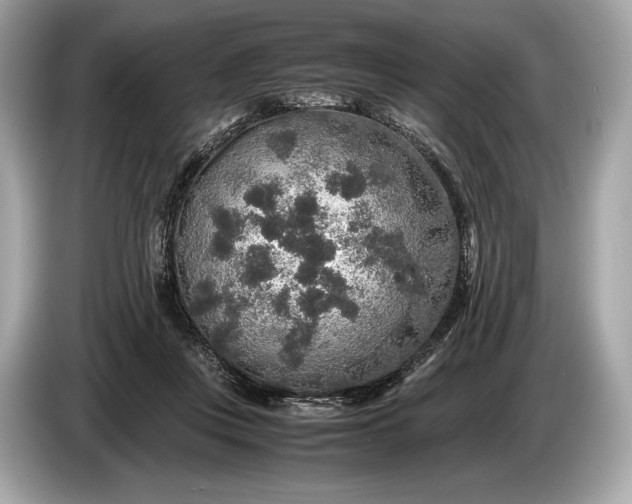 X0000085070359200703191306