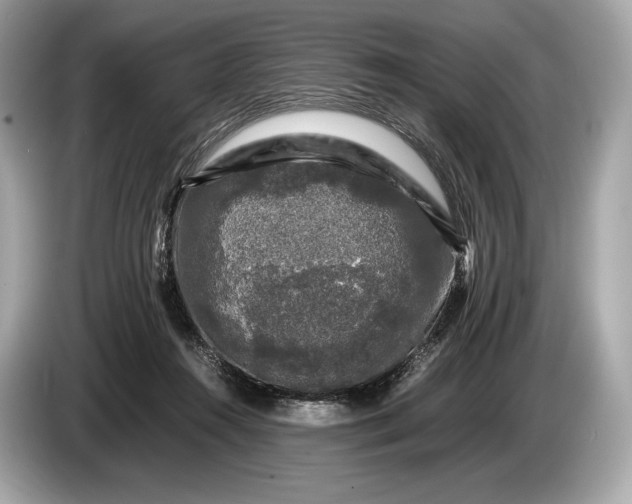 X0000085070360200703191306