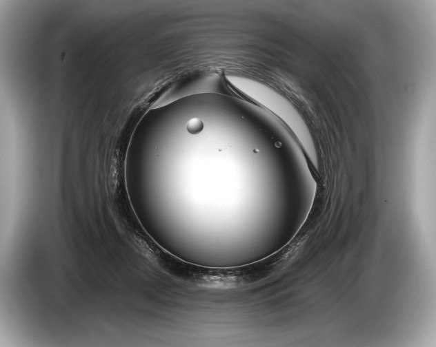 X0000085070362200703191307