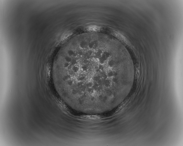 X0000085070363200703191307