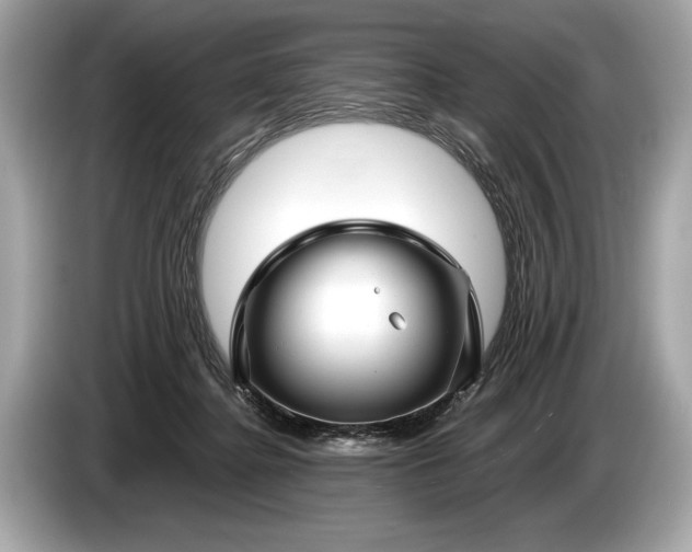 X0000085070364200703191307