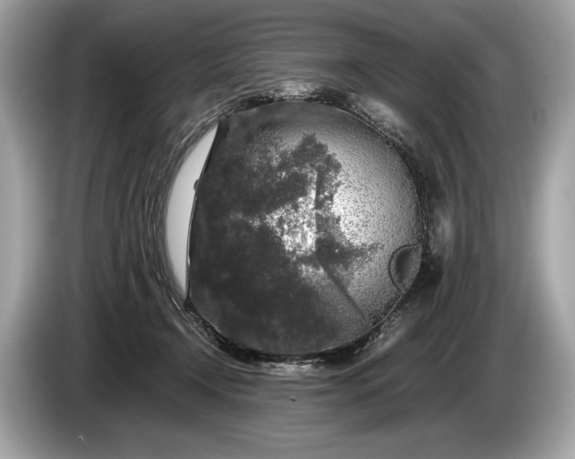 X0000085070366200703191307