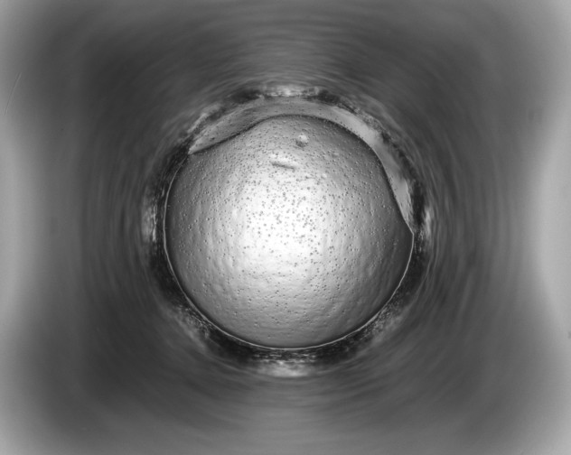 X0000085070368200703191307