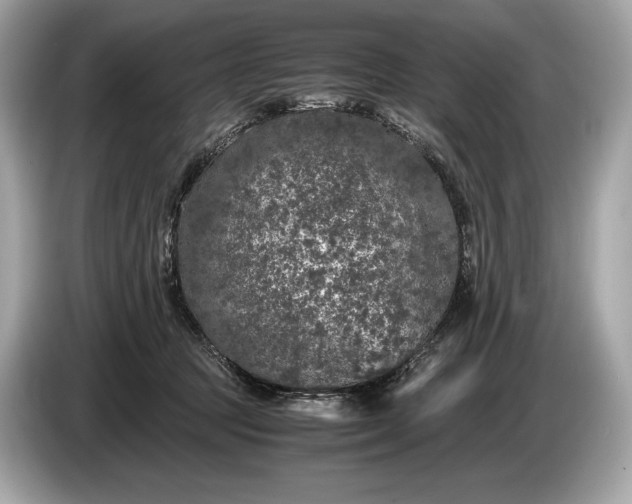 X0000085070369200703191307