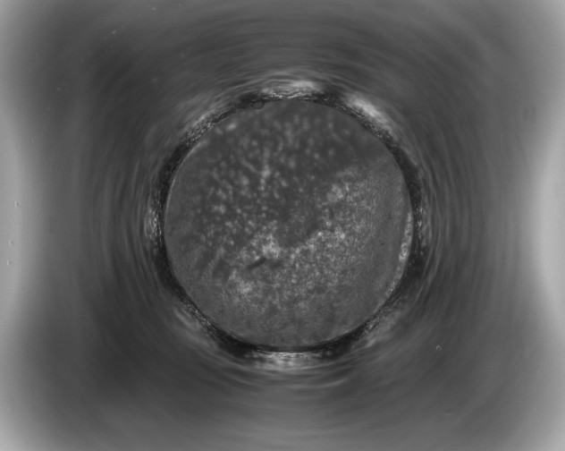 X0000085070371200703191307