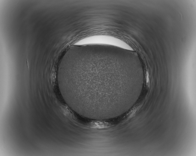 X0000085070372200703191307