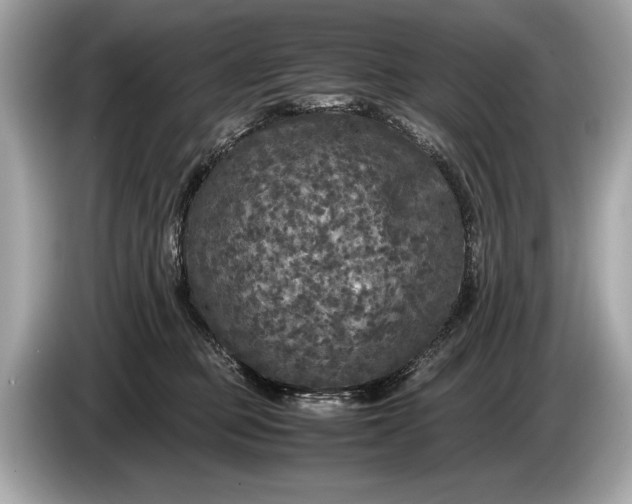 X0000085070373200703191307