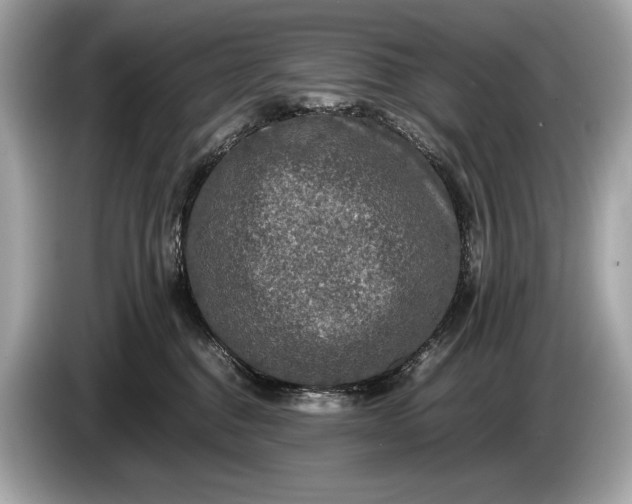 X0000085070376200703191307