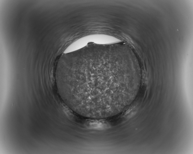 X0000085070377200703191307