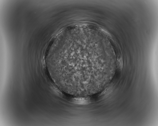 X0000085070381200703191307