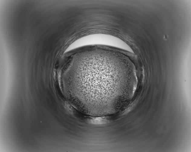 X0000085070382200703191307