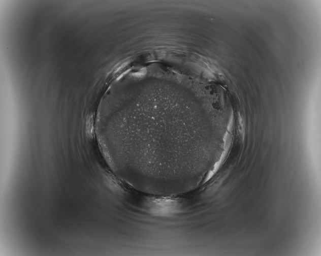 X0000085070383200703191307