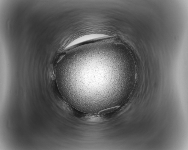 X0000085070384200703191307