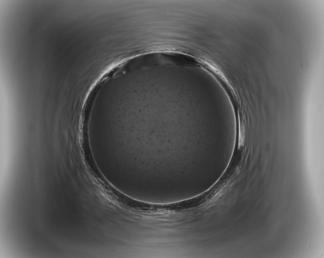 X0000085070387200703191306