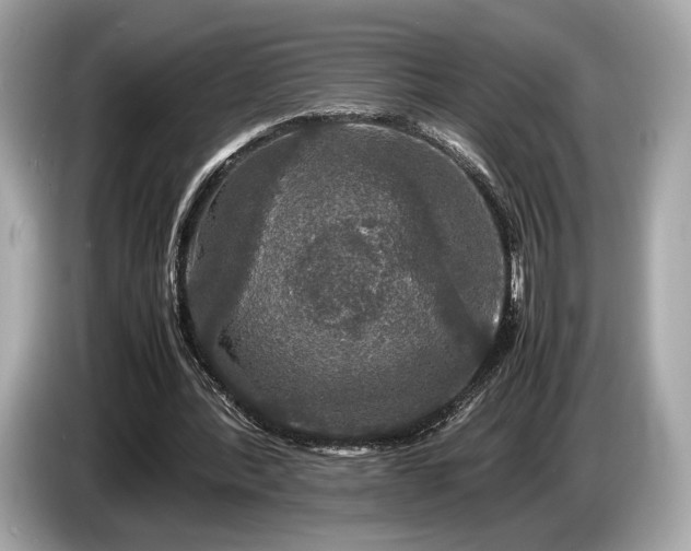 X0000085070388200703191306