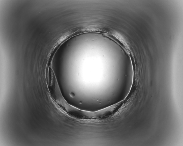 X0000085070389200703191306