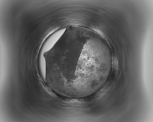 X0000085070390200703191306