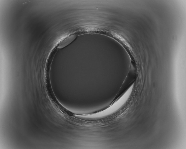 X0000085070391200703191306