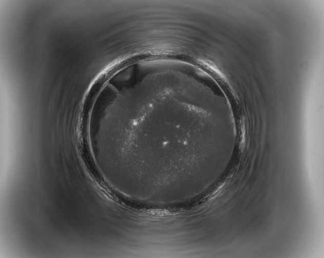 X0000085070392200703191306