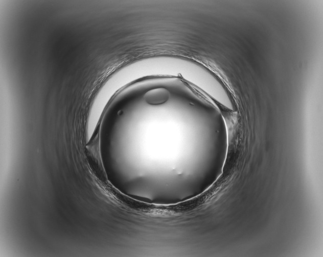 X0000085070393200703191306