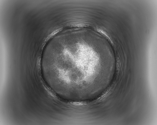 X0000085070394200703191306