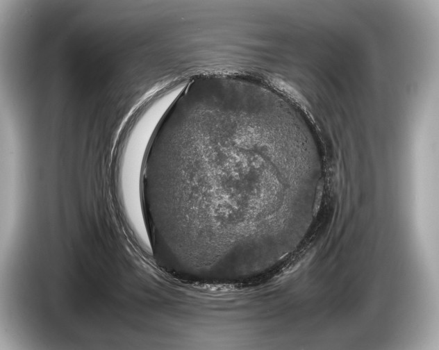 X0000085070395200703191306