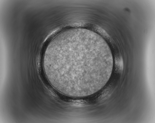 X0000085070396200703191306