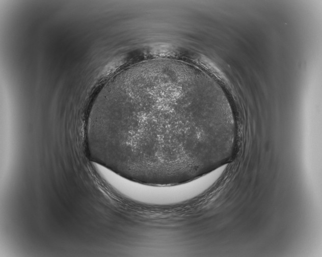 X0000085070401200703191306