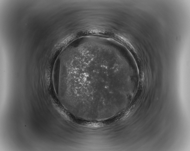 X0000085070402200703191306