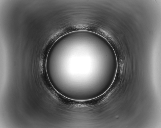 X0000085070404200703191306