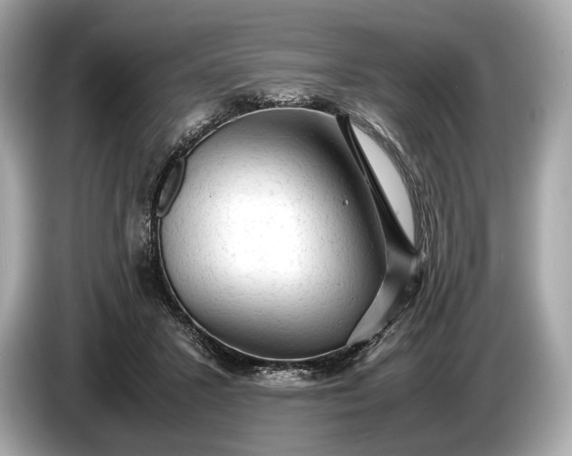 X0000085070407200703191306