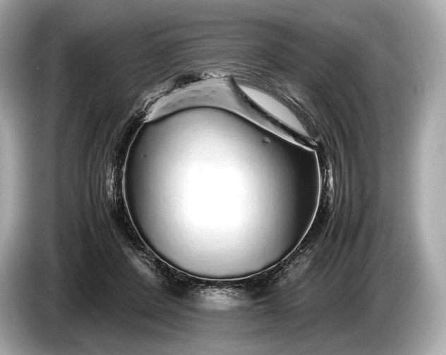 X0000085070408200703191306